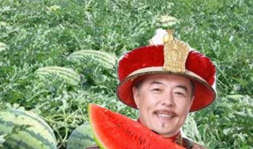 路边吃瓜君,揭秘街头巷尾的趣味生活