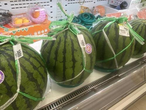 神仙吃瓜,神仙视角下的娱乐圈吃瓜盛宴