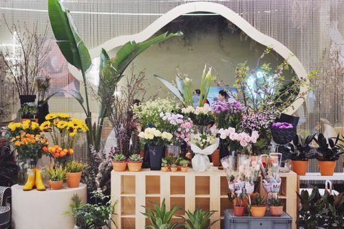 成都晶融汇吃瓜,揭秘网红打卡地的吃瓜趣事